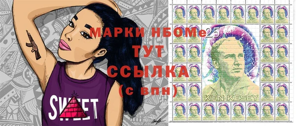 гашик Ельня