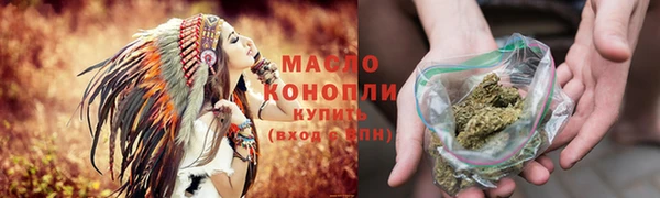 гашик Ельня