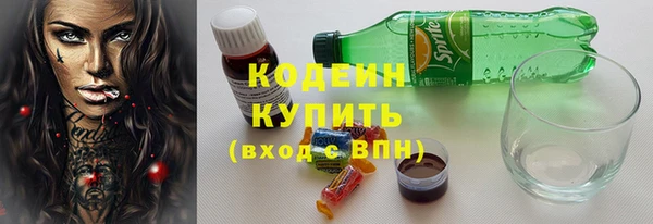 гашик Ельня