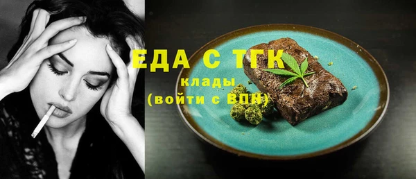 гашик Ельня