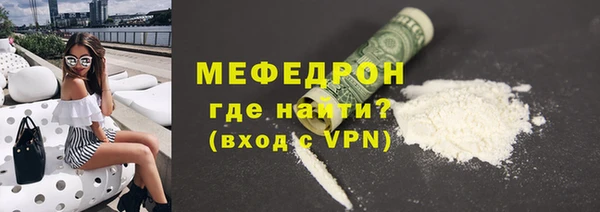 гашик Ельня