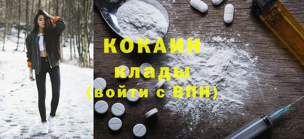 гидра Елабуга