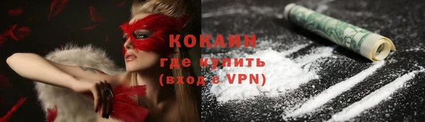 гидра Елабуга