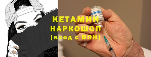 гидра Елабуга