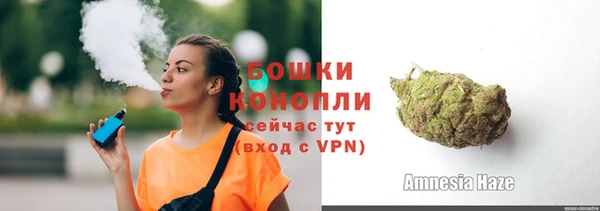 гидра Елабуга