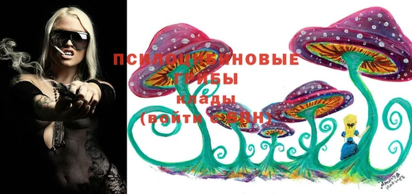 гашик Ельня