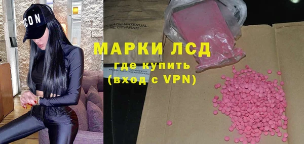 гашик Ельня