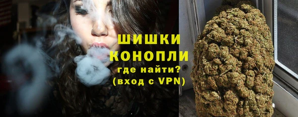 гидра Елабуга