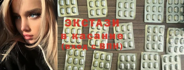 гашик Ельня