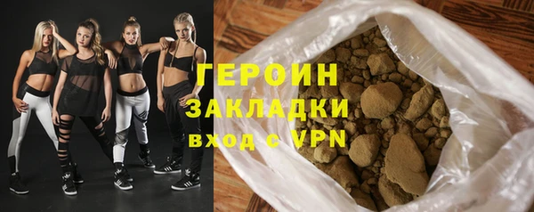 гашик Ельня
