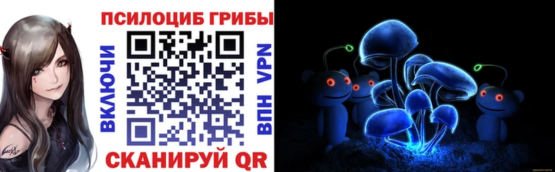 Купить закладки  Грязи  Галлюциногенные грибы мицелий 